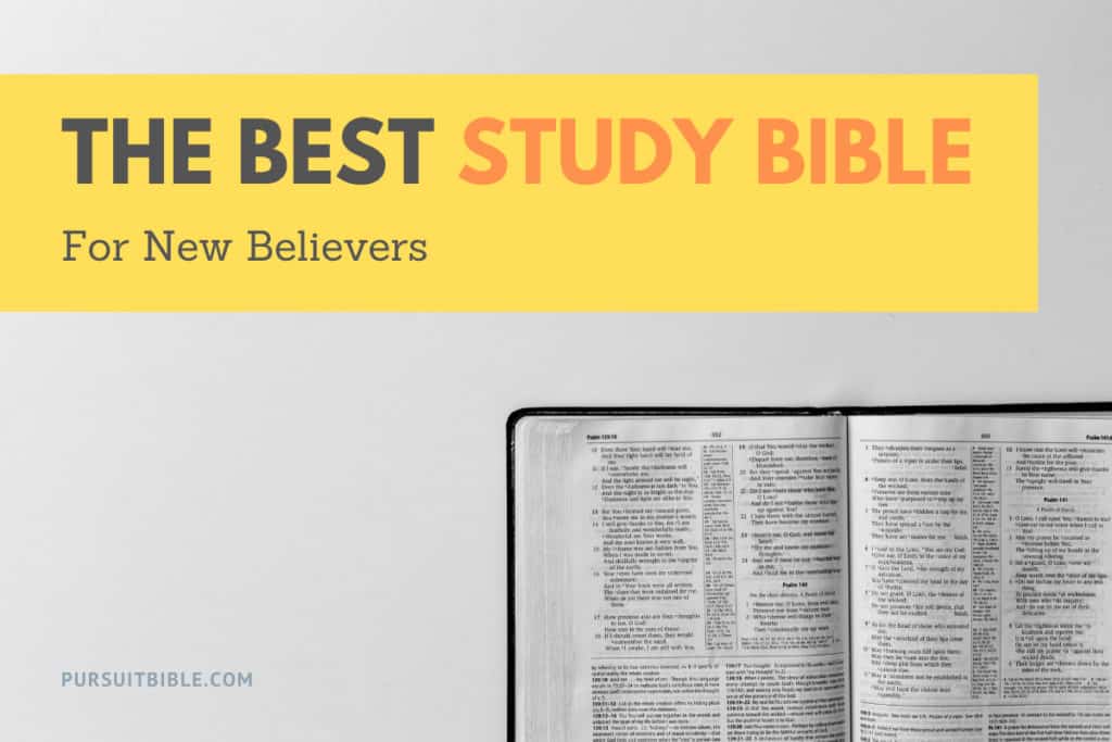 Best Study Bible for New Believers
