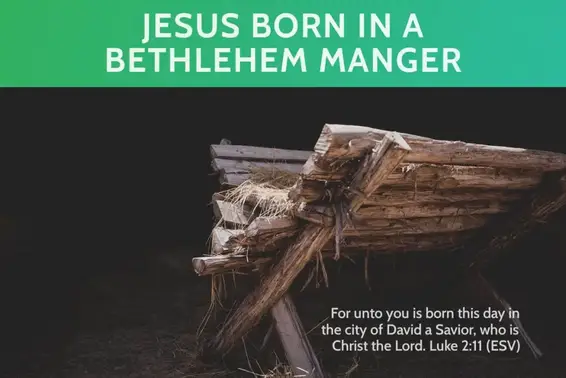 Jesus Born in a Bethlehem Manger: Significance & Meaning